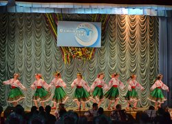 Регіональний етап Всеукраїнського фестивалю "Софіївські зорі"
